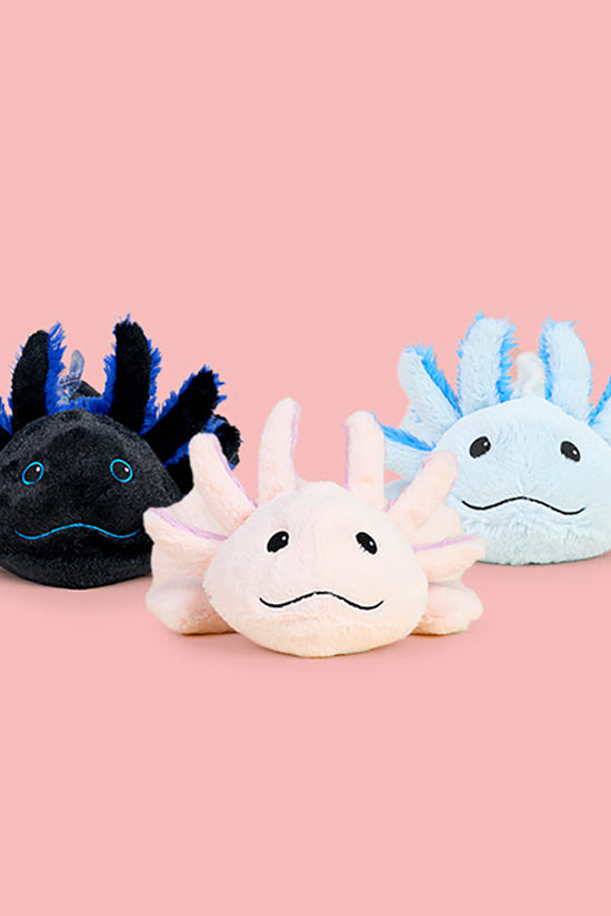 Axolotls Bundle