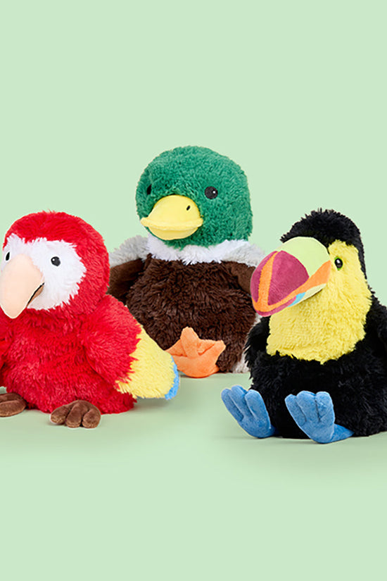 Bird Bundle