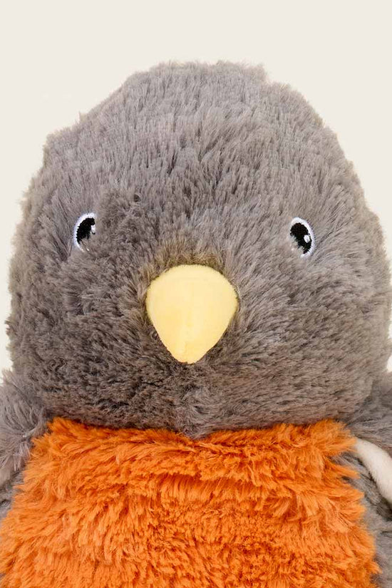 American Robin Warmies