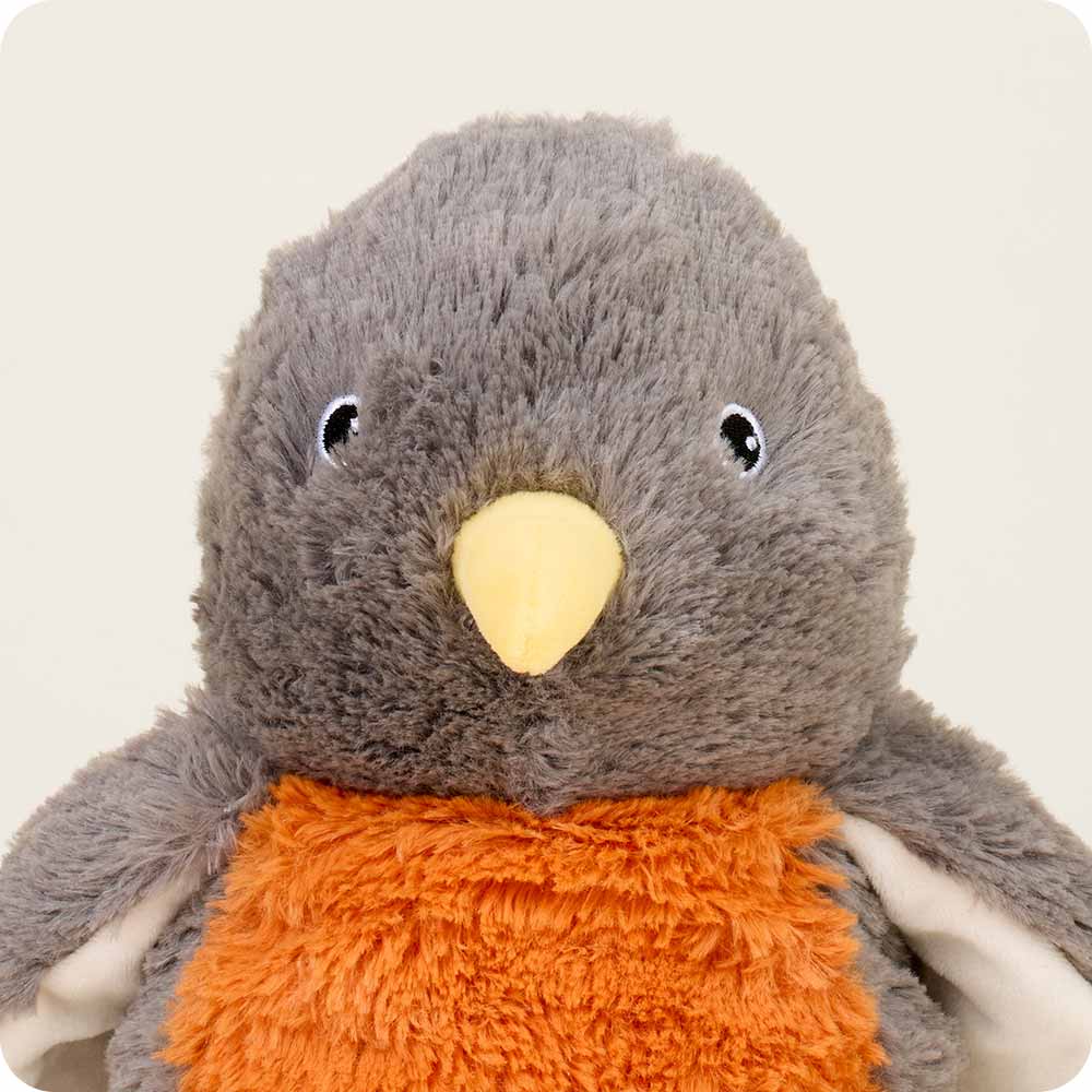 American Robin Warmies