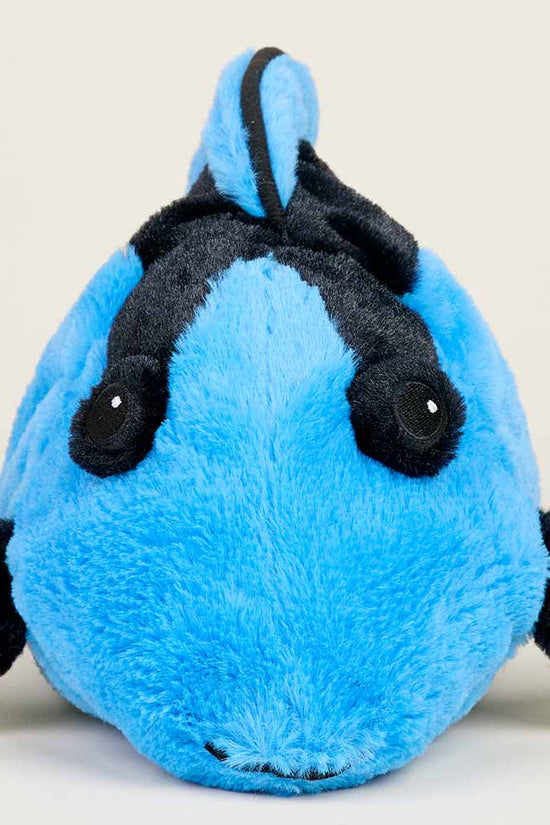 Blue Tang Warmies