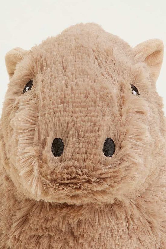 Capybara Warmies