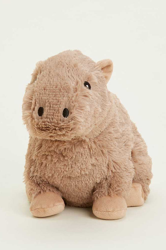 Capybara Warmies