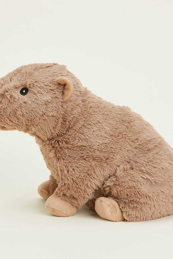 Capybara Warmies