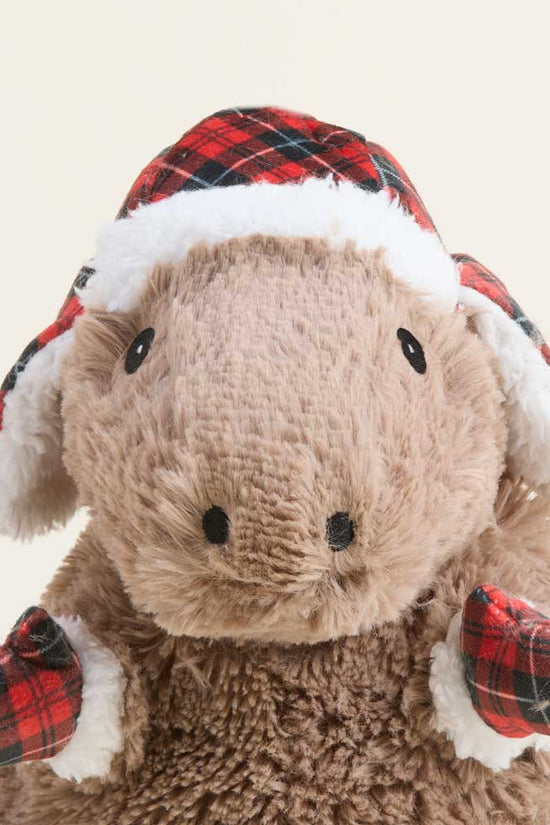 Cozy Capybara Warmies