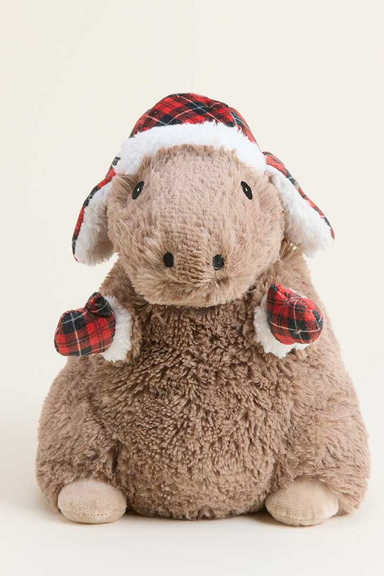 Cozy Capybara Warmies