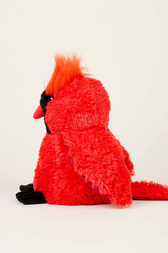 Cardinal Warmies