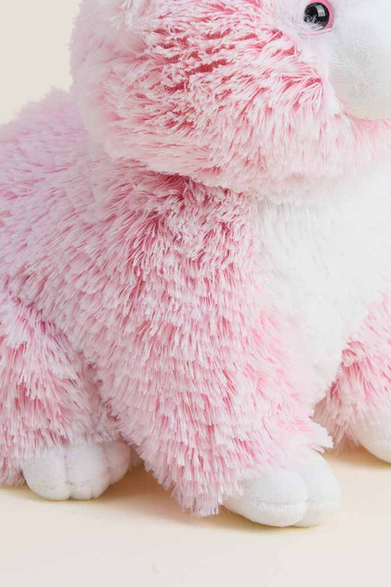 Pink Kitten Warmies