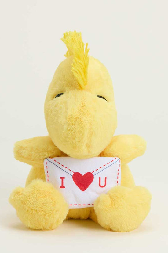 Love Letter Woodstock Warmies