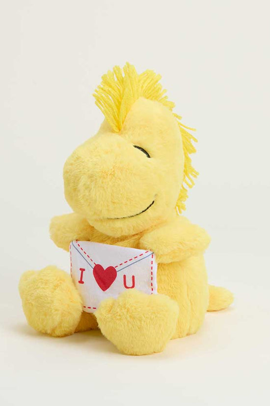 Love Letter Woodstock Warmies
