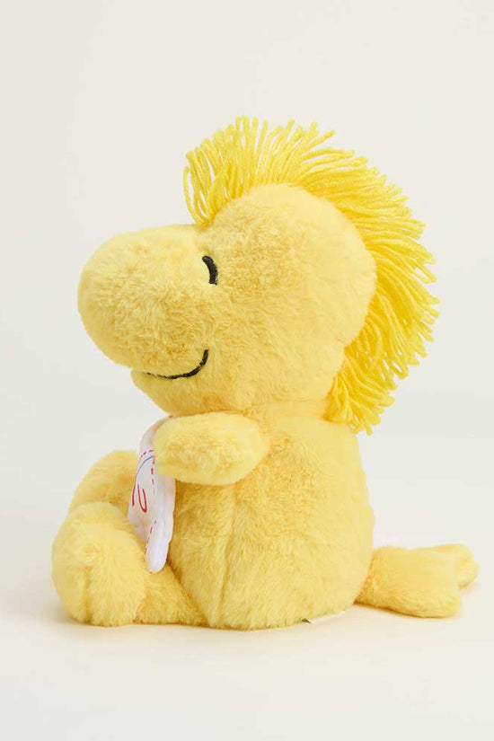 Love Letter Woodstock Warmies