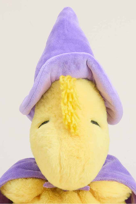 Wizard Woodstock Warmies