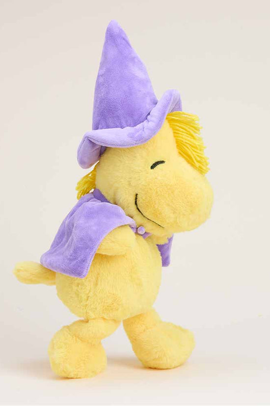Wizard Woodstock Warmies
