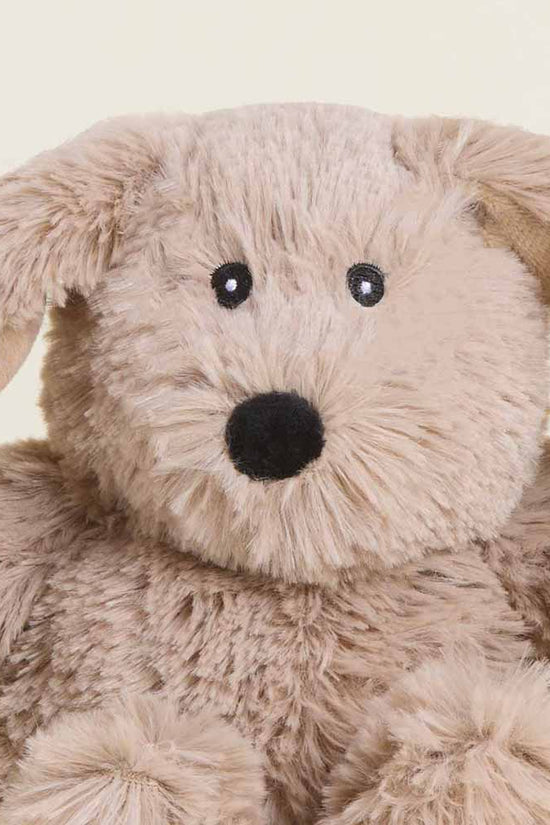 Brown Bunny Warmies Junior