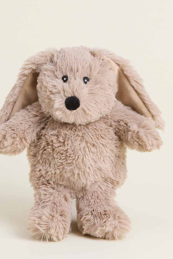Brown Bunny Warmies Junior