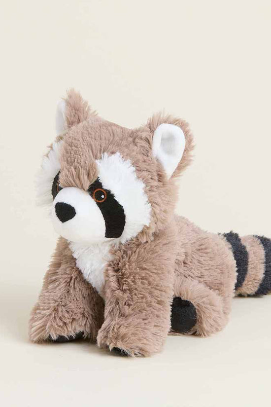 Raccoon Warmies Junior