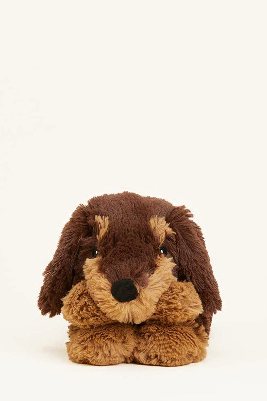 Dachshund Warmies Wrap