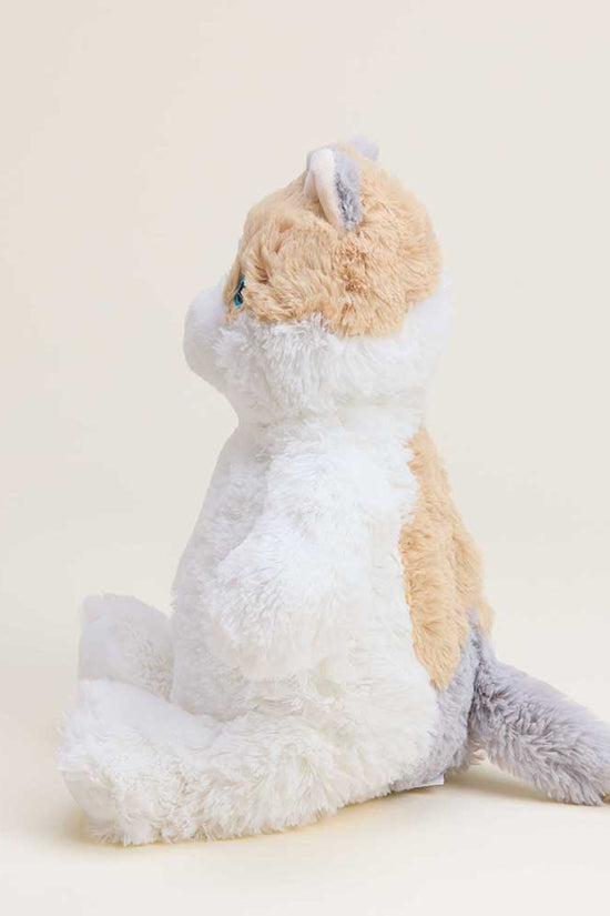 Calico Cat Warmies for Pets