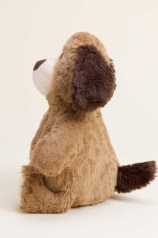Brown Dog Warmies for Pets