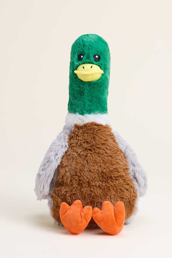 Mallard Warmies for Pets