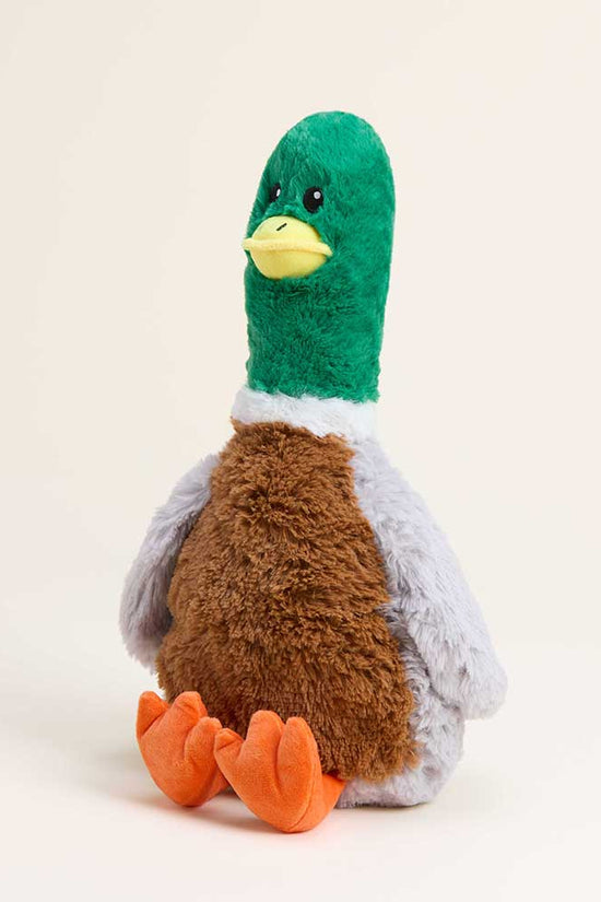 Mallard Warmies for Pets