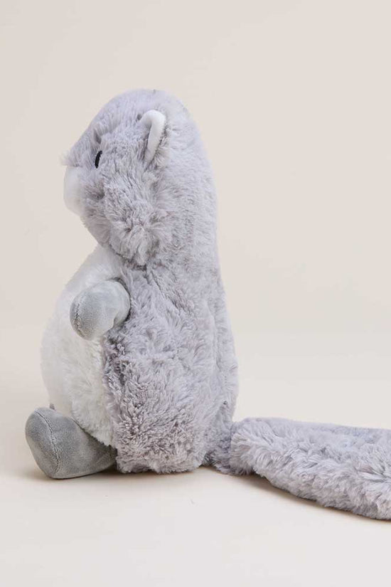 Squirrel Warmies for Pets