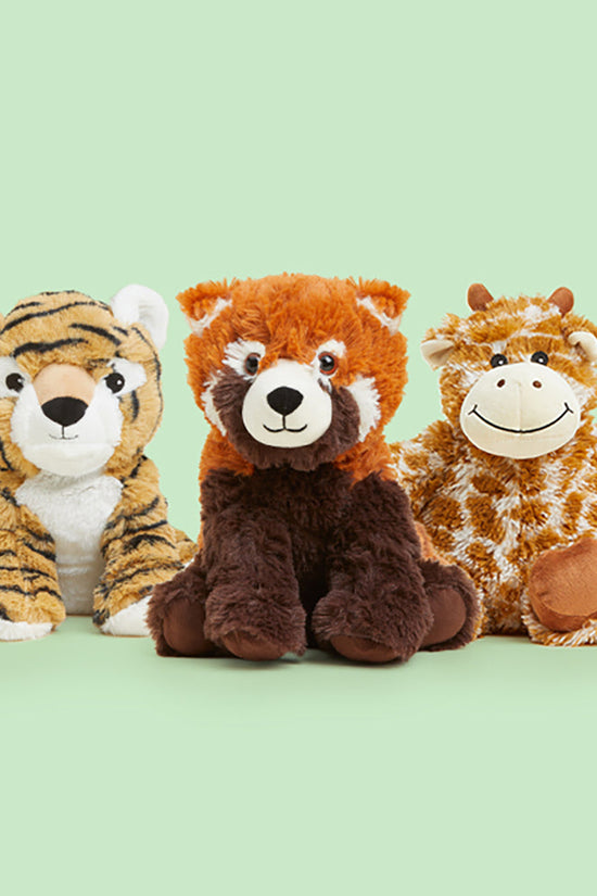 Safari Bundle