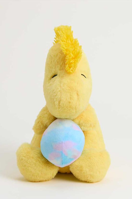 Easter Egg Woodstock Warmies
