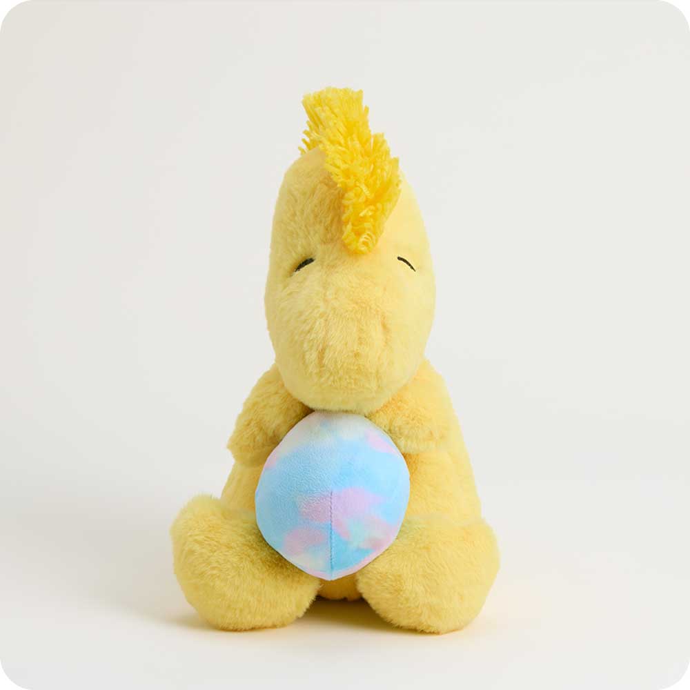 Easter Egg Woodstock Warmies