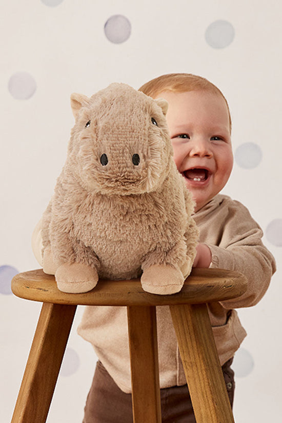 Capybara Warmies