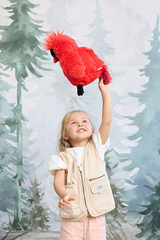 Cardinal Warmies